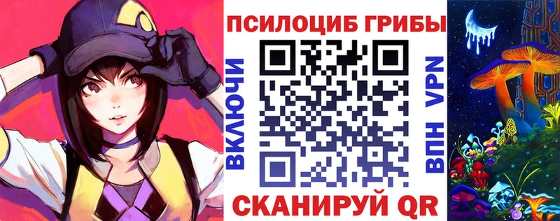 hydra ССЫЛКА где можно купить наркотик Вологда Галлюциногенные грибы прущие грибы